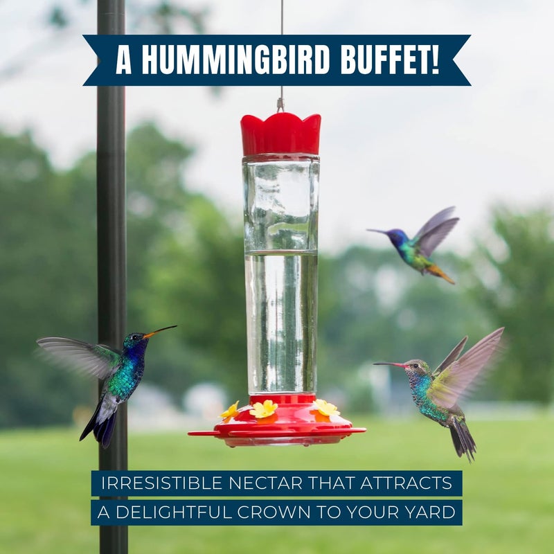 MEKKAPRO Premium Hummingbird Nectar - 60oz - Attract, Delight, and Energize Your Garden with Our Irresistible Sugar-Packed Formula - No Mess, No Fridge Needed - Ready-to-Use Convenience - Image 3